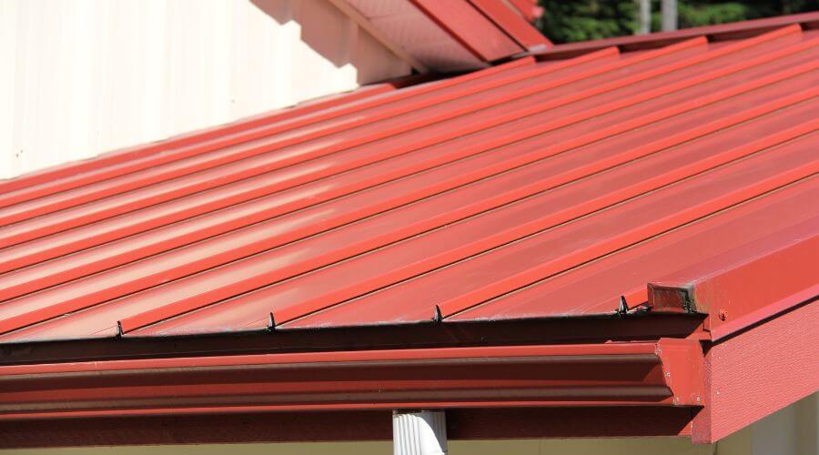 Roof Gutter Cleaning in Rochert, MN